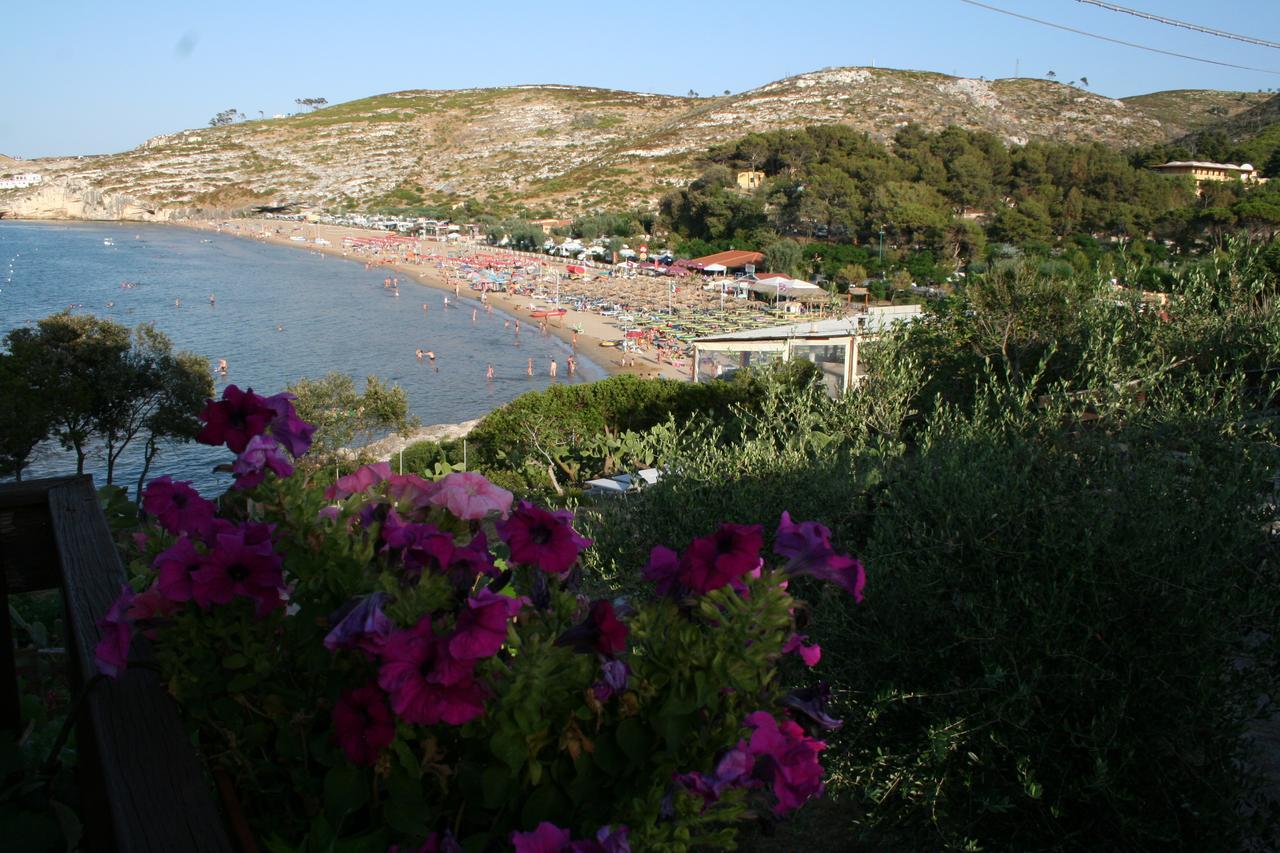 Albergo"Villa Biscotti" Peschici Luaran gambar
